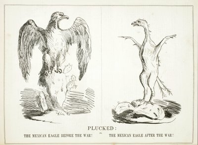 Desplumado: o, El águila mexicana antes de la guerra! El águila mexicana después de la guerra!, 1847 de American School